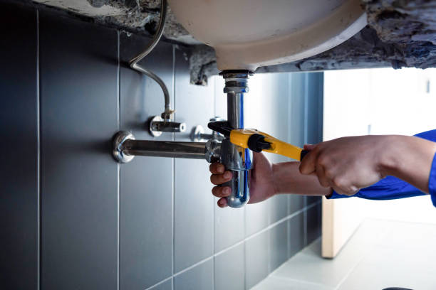 Best Garbage Disposal Repair and Installation  in Lewisport, KY